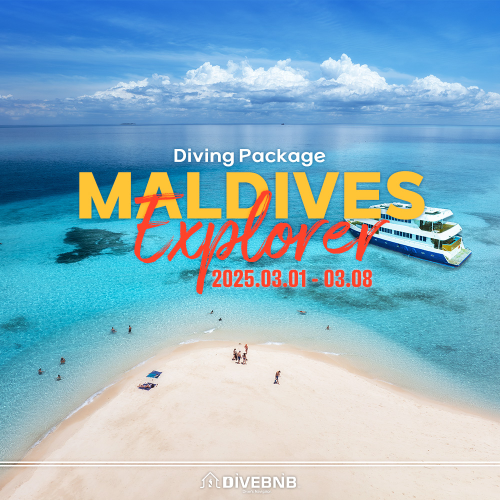 Maldives Explorer 7N8D Diving Package